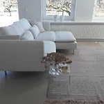 Maan B&B + Galerie