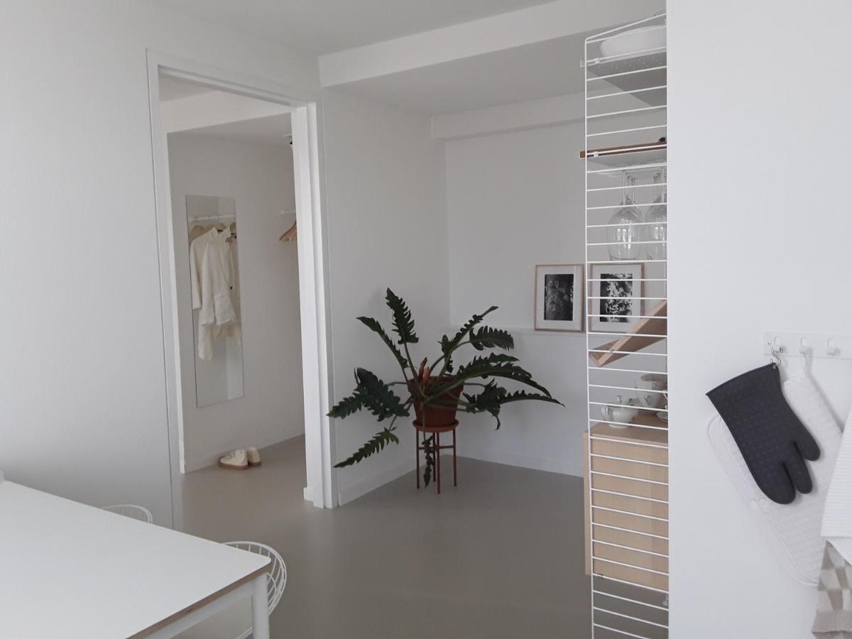 Maan + Galerie *